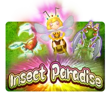 Insect-Paradise