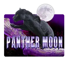 Panther-moon